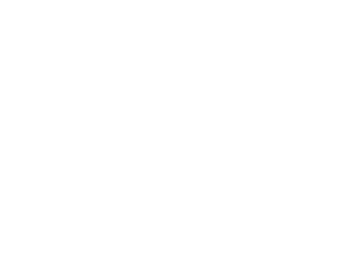 Industria FICG