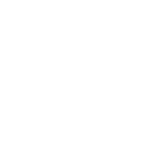 Queer Lion