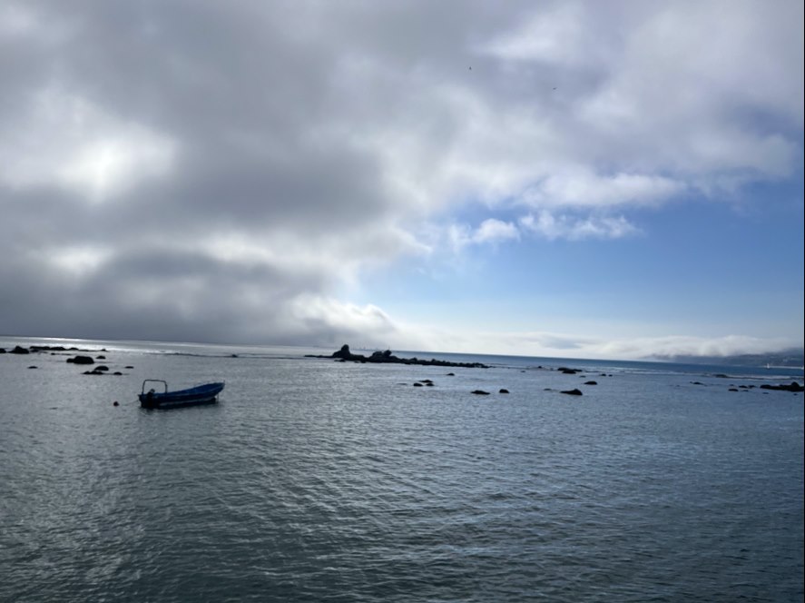 Imagen de Bruma: una embarcación en el mar bajo un cielo nublado