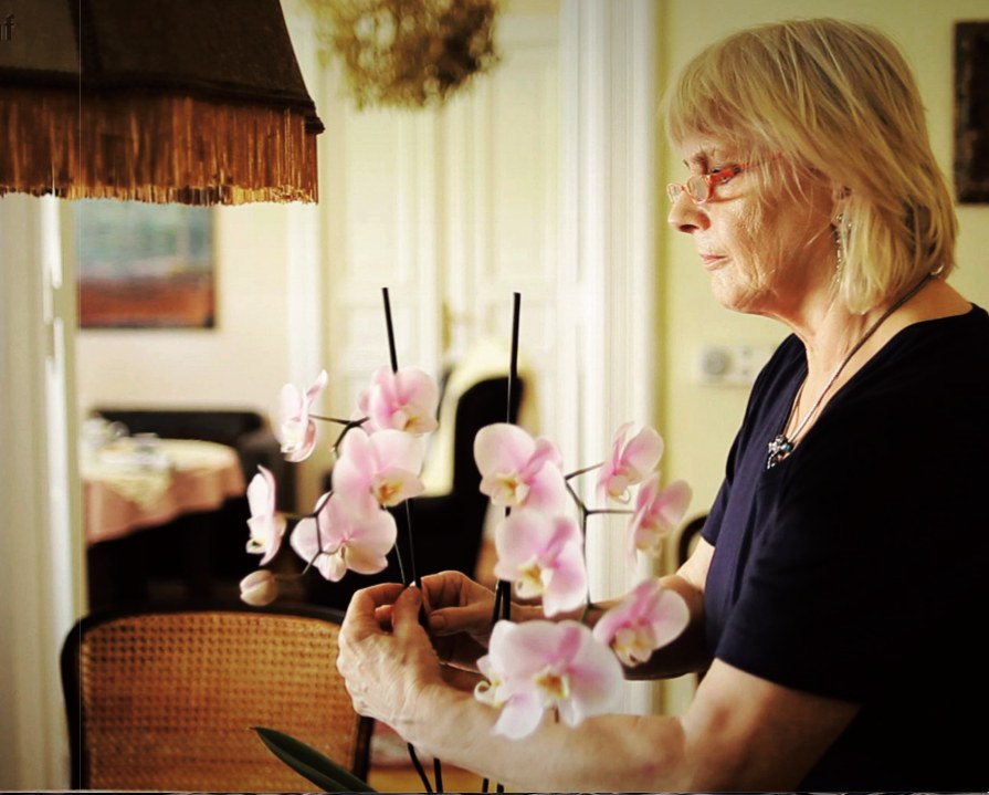 Zazie cuida sus orquídeas