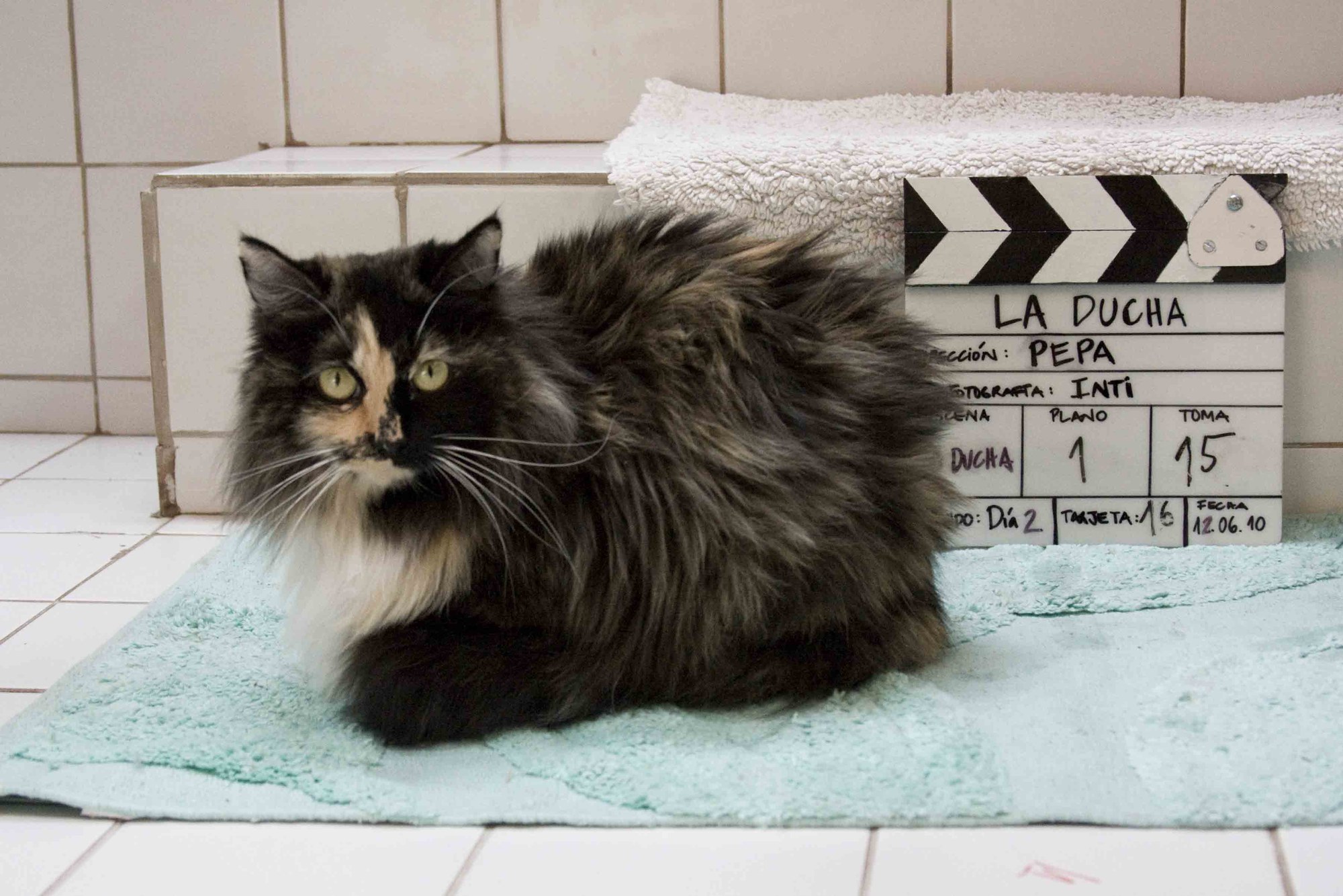 Gato y claqueta durante el rodaje de La Ducha